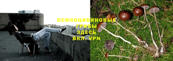 марки lsd Баксан
