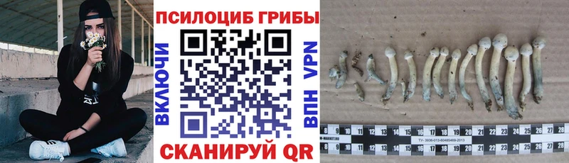 Галлюциногенные грибы мицелий  цены наркотик  Онега 